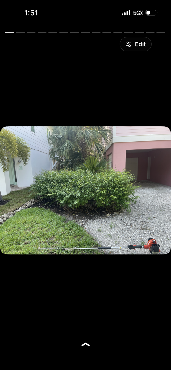 trimming and mowing — Daniel Valerio 