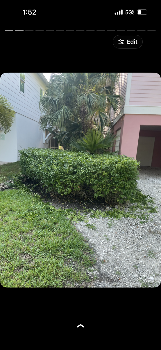trimming and mowing — Daniel Valerio 