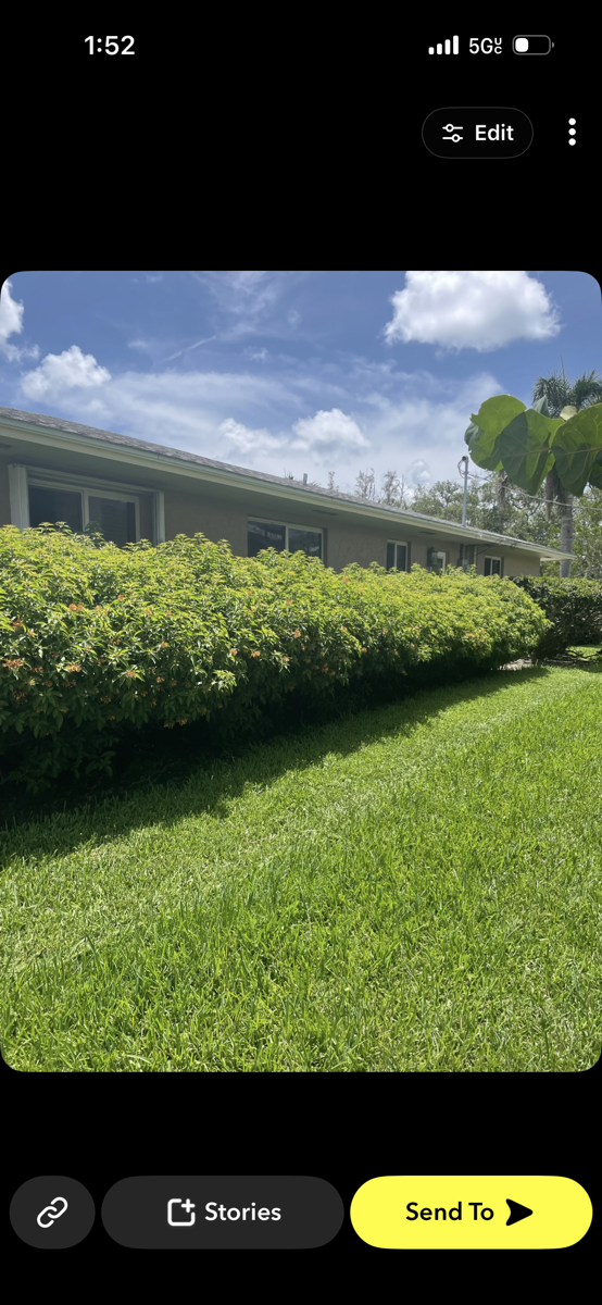 trimming and mowing — Daniel Valerio 