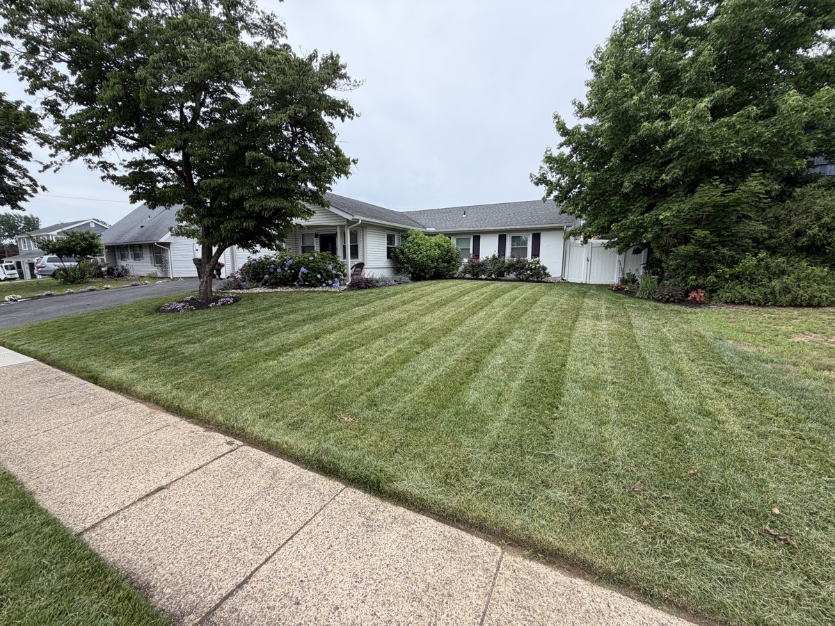Landscaping in Burlington County, New Jersey, United States by Platinum Green — Platinum Green’s Yard work (6 of 16)