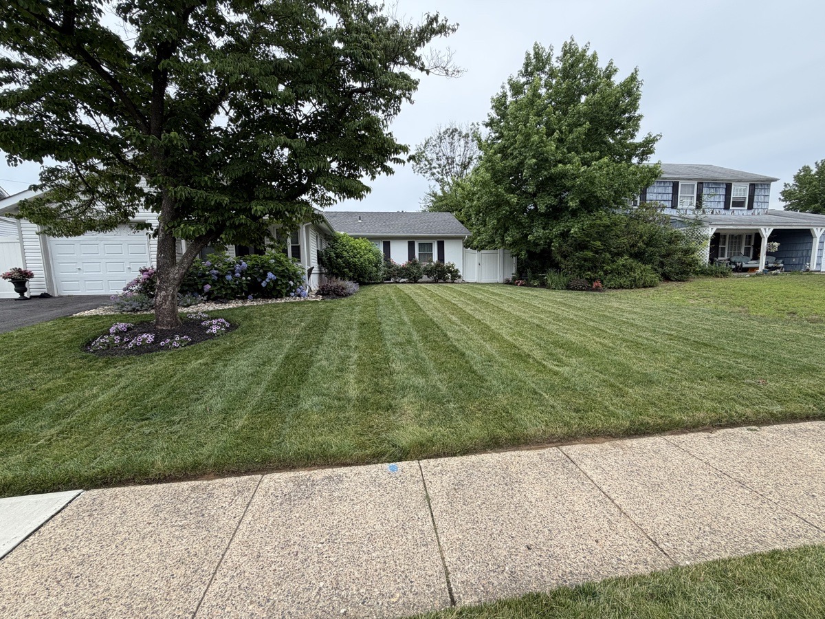 Landscaping in Burlington County, New Jersey, United States by Platinum Green — Platinum Green’s Yard work (7 of 16)