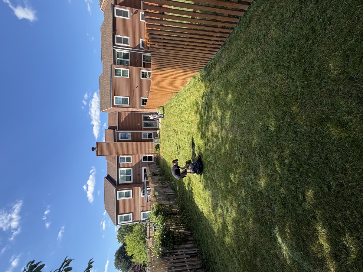 Landscaping in Burlington County, New Jersey, United States by Platinum Green — Platinum Green’s Yard work (8 of 16)