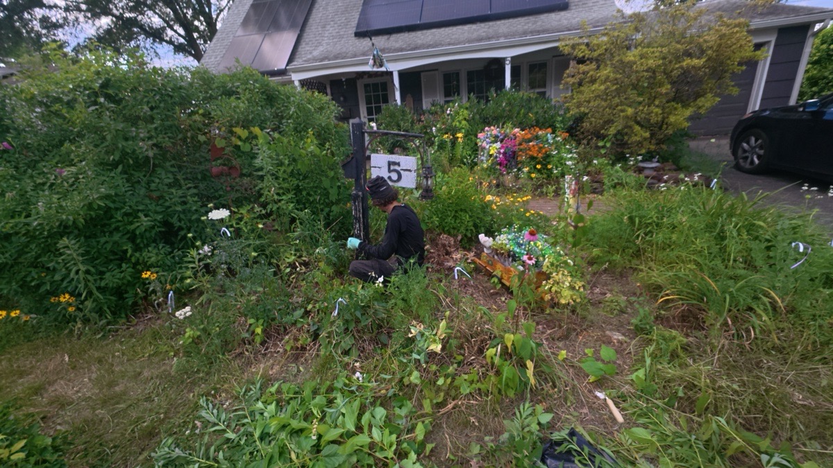 Landscaping in Burlington County, New Jersey, United States by Platinum Green — Platinum Green’s Yard work (10 of 16)