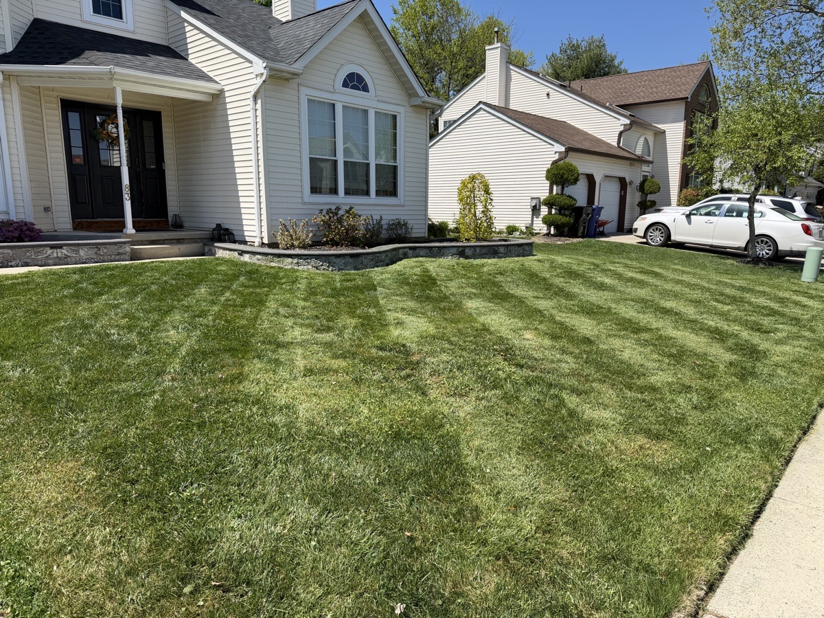 Platinum Green’s Yard work — Platinum Green