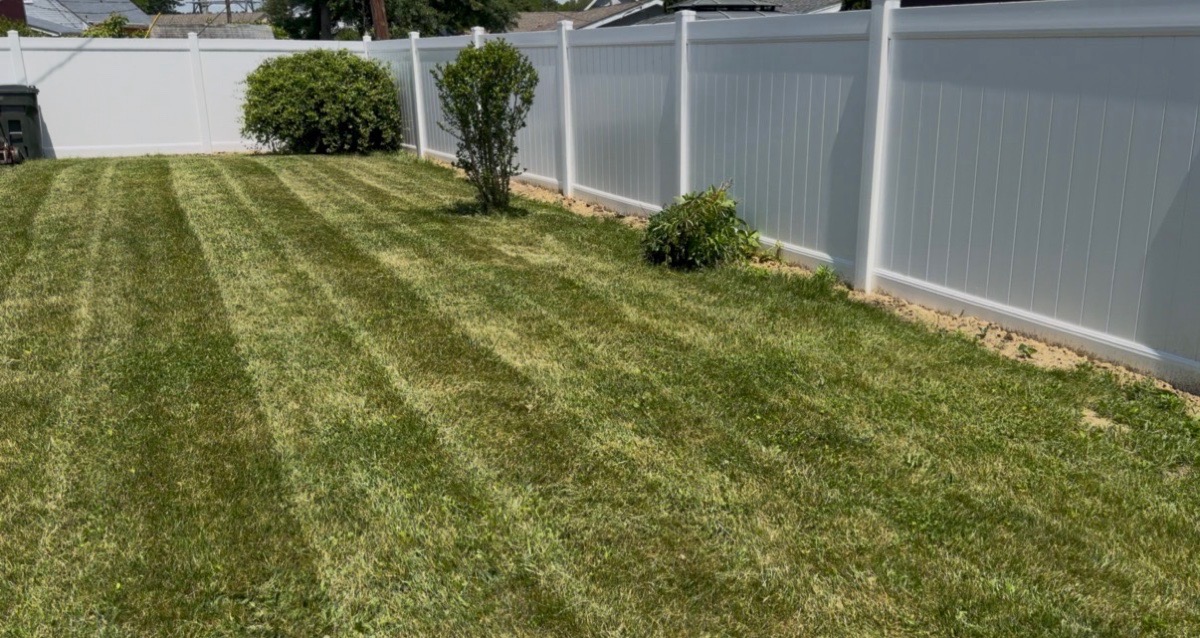 Platinum Green’s Yard work — Platinum Green