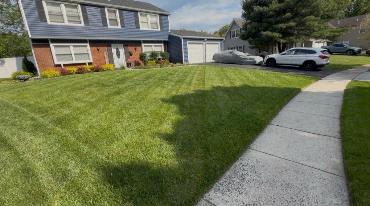 Platinum Green’s Yard work — Platinum Green