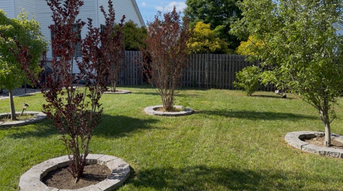 Platinum Green’s Yard work — Platinum Green