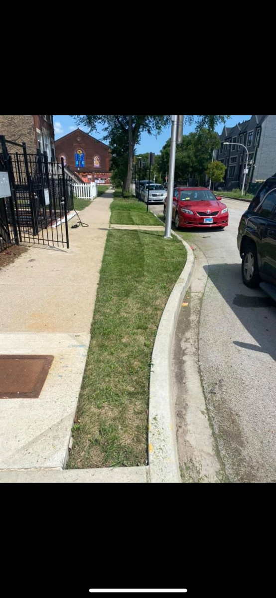 project lawn care — Jeremy Haynes 