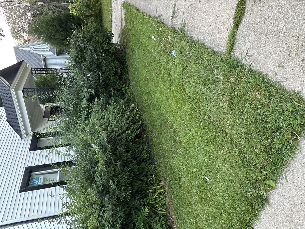 project lawn care — Jeremy Haynes 