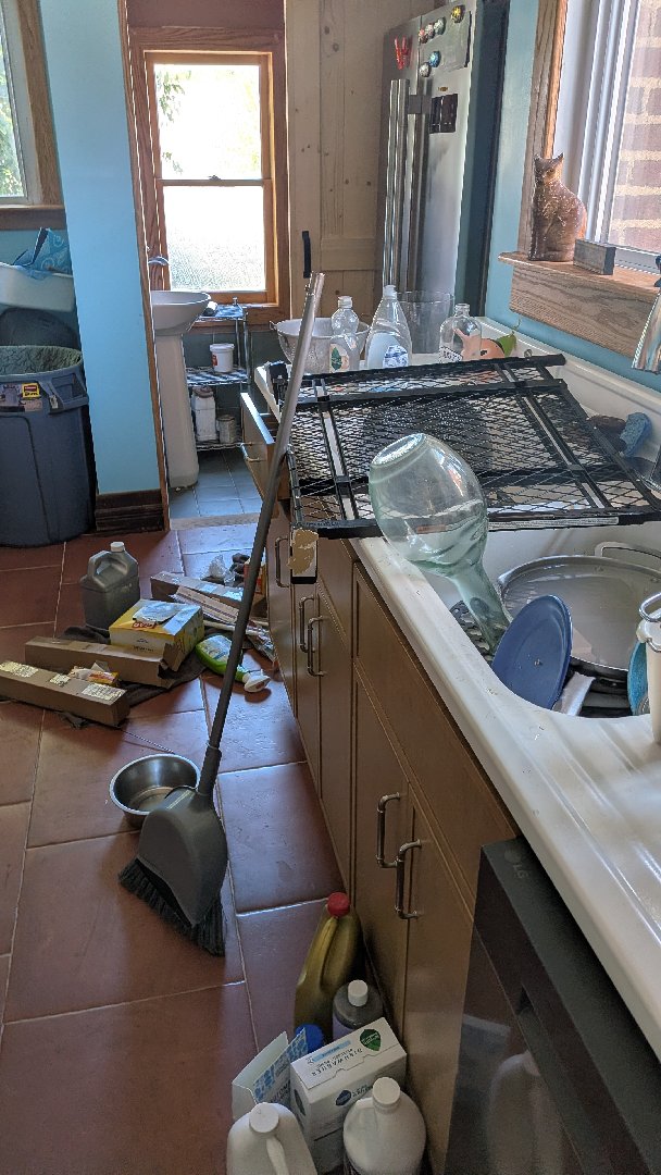 Kitchen — Shawna Stewart