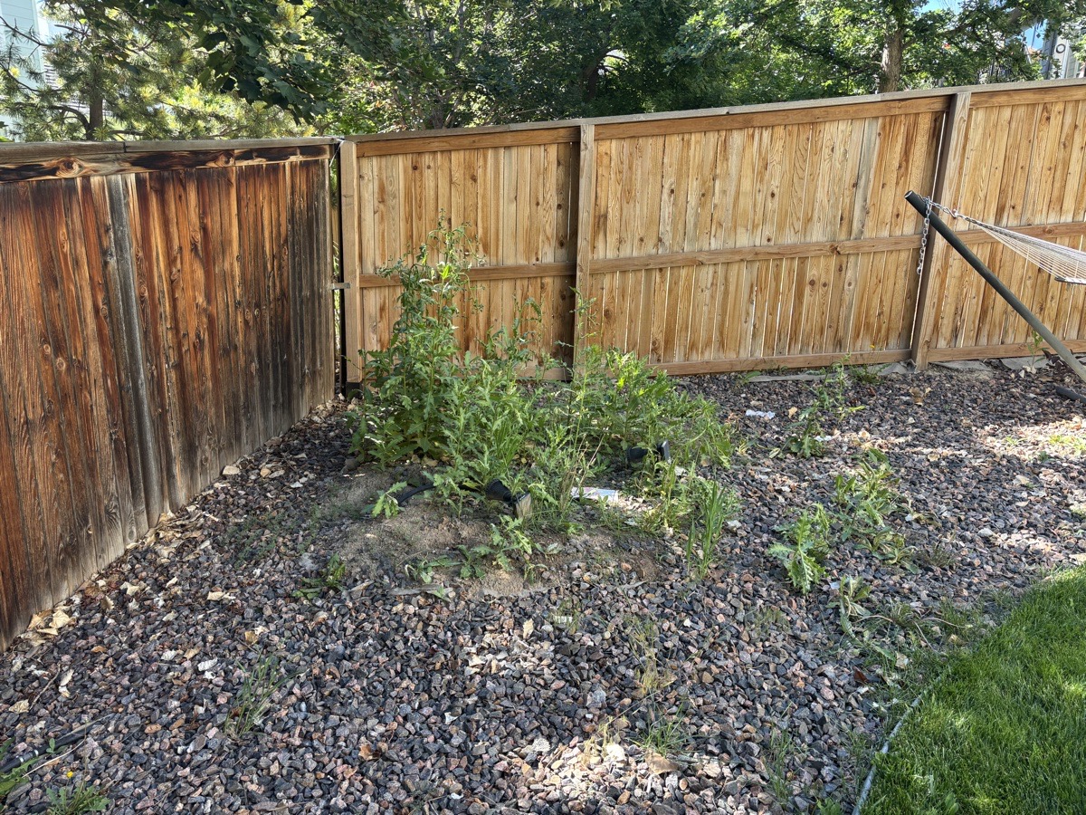 wood chips — Zayden Davis