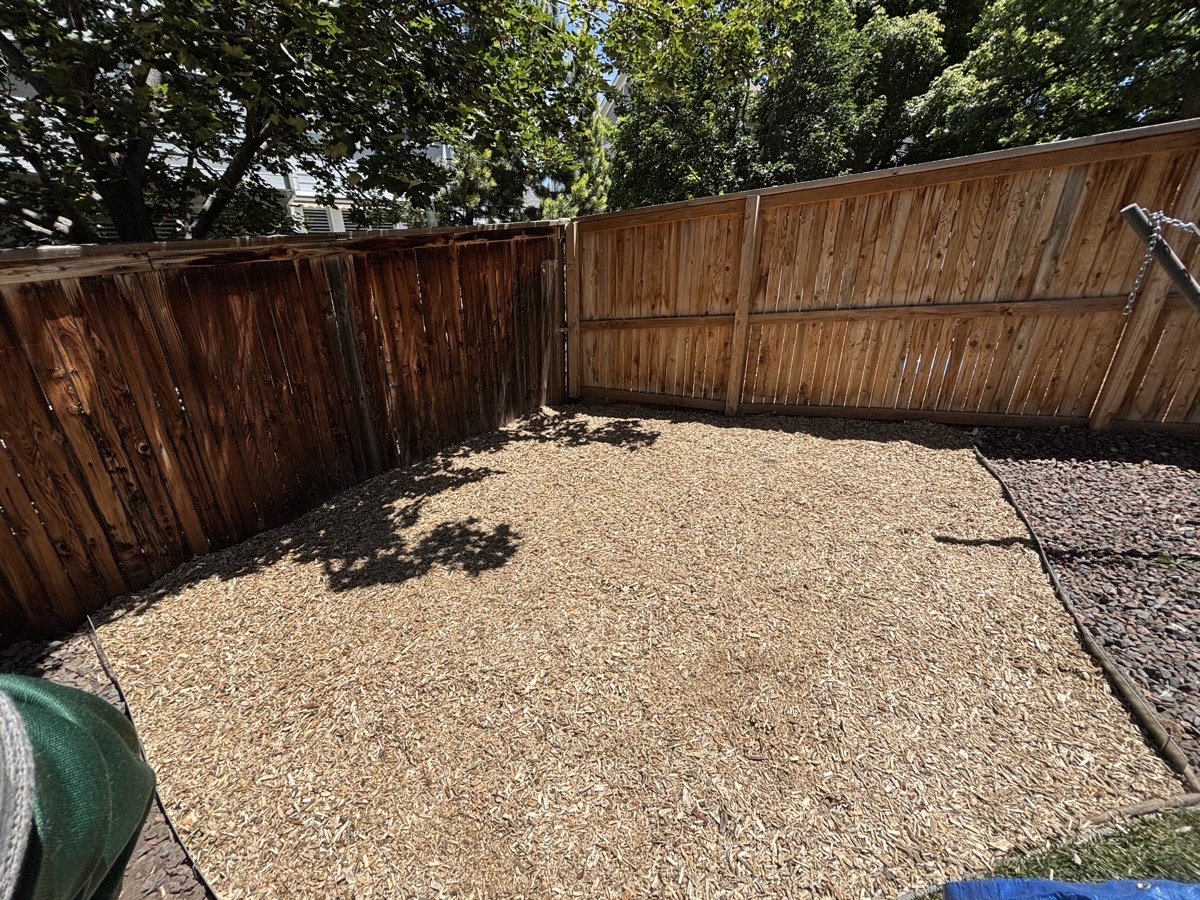 wood chips — Zayden Davis