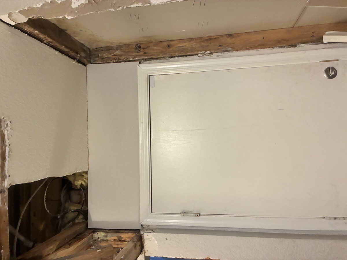 water damage and mold remediation — Ricardo Lopez