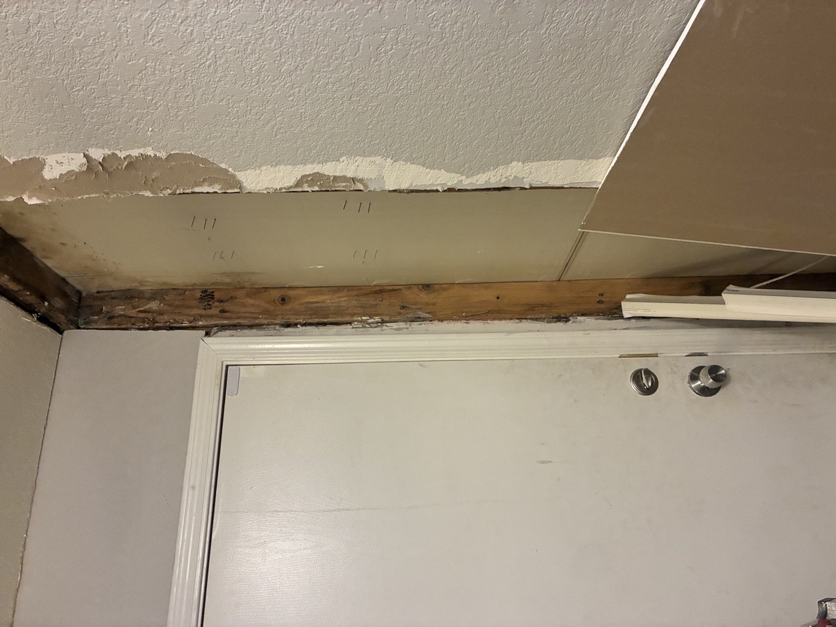 water damage and mold remediation — Ricardo Lopez