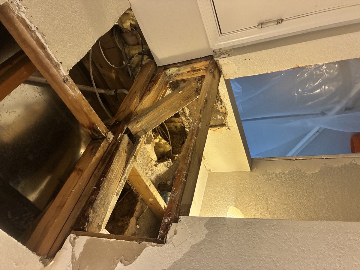 water damage and mold remediation — Ricardo Lopez