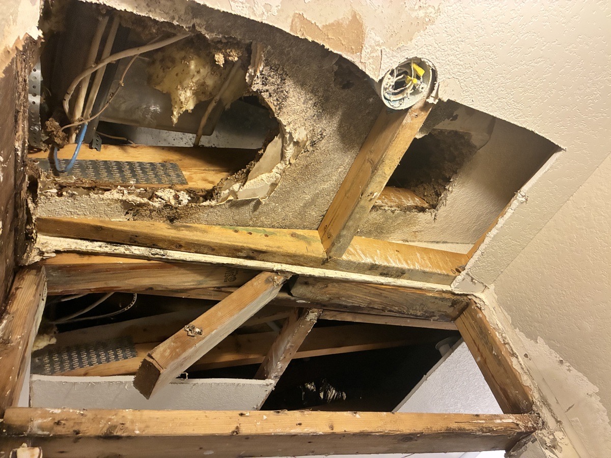 water damage and mold remediation — Ricardo Lopez