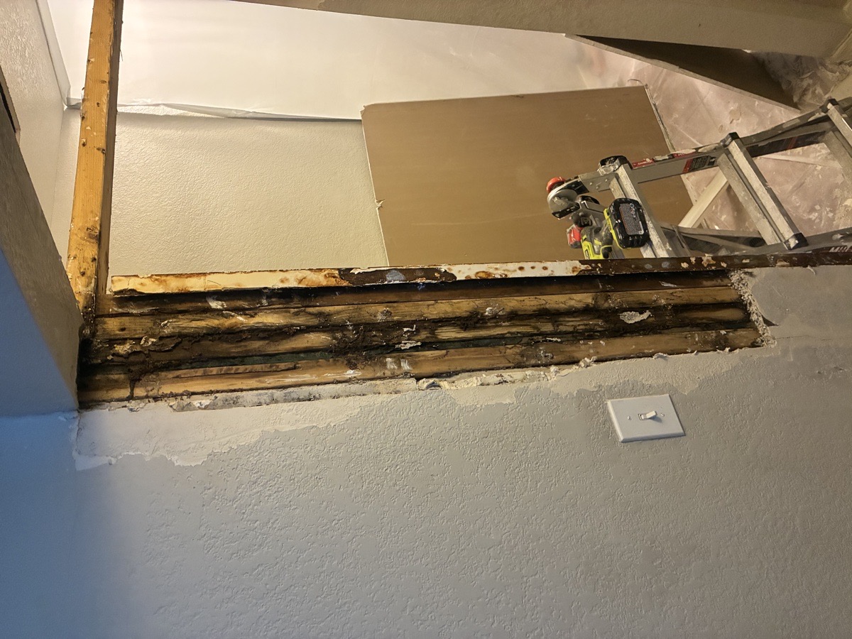 water damage and mold remediation — Ricardo Lopez