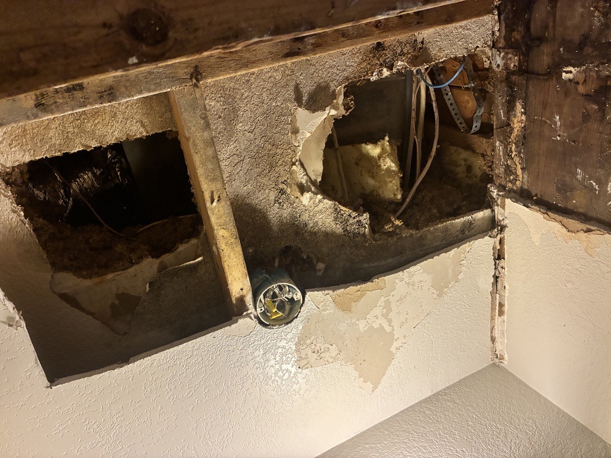 water damage and mold remediation — Ricardo Lopez