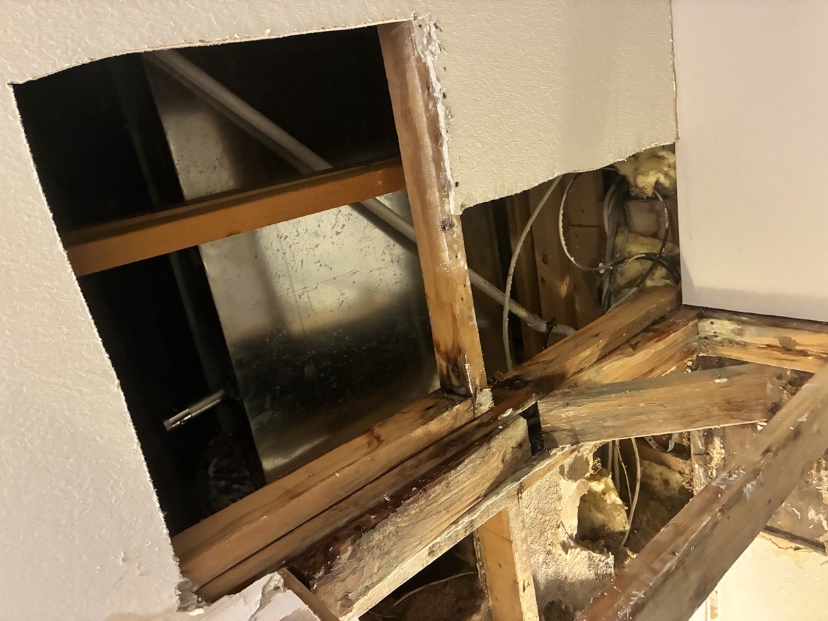 water damage and mold remediation — Ricardo Lopez