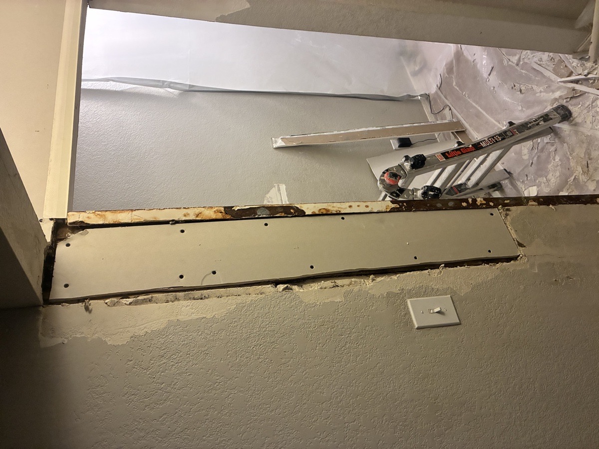 water damage and mold remediation — Ricardo Lopez