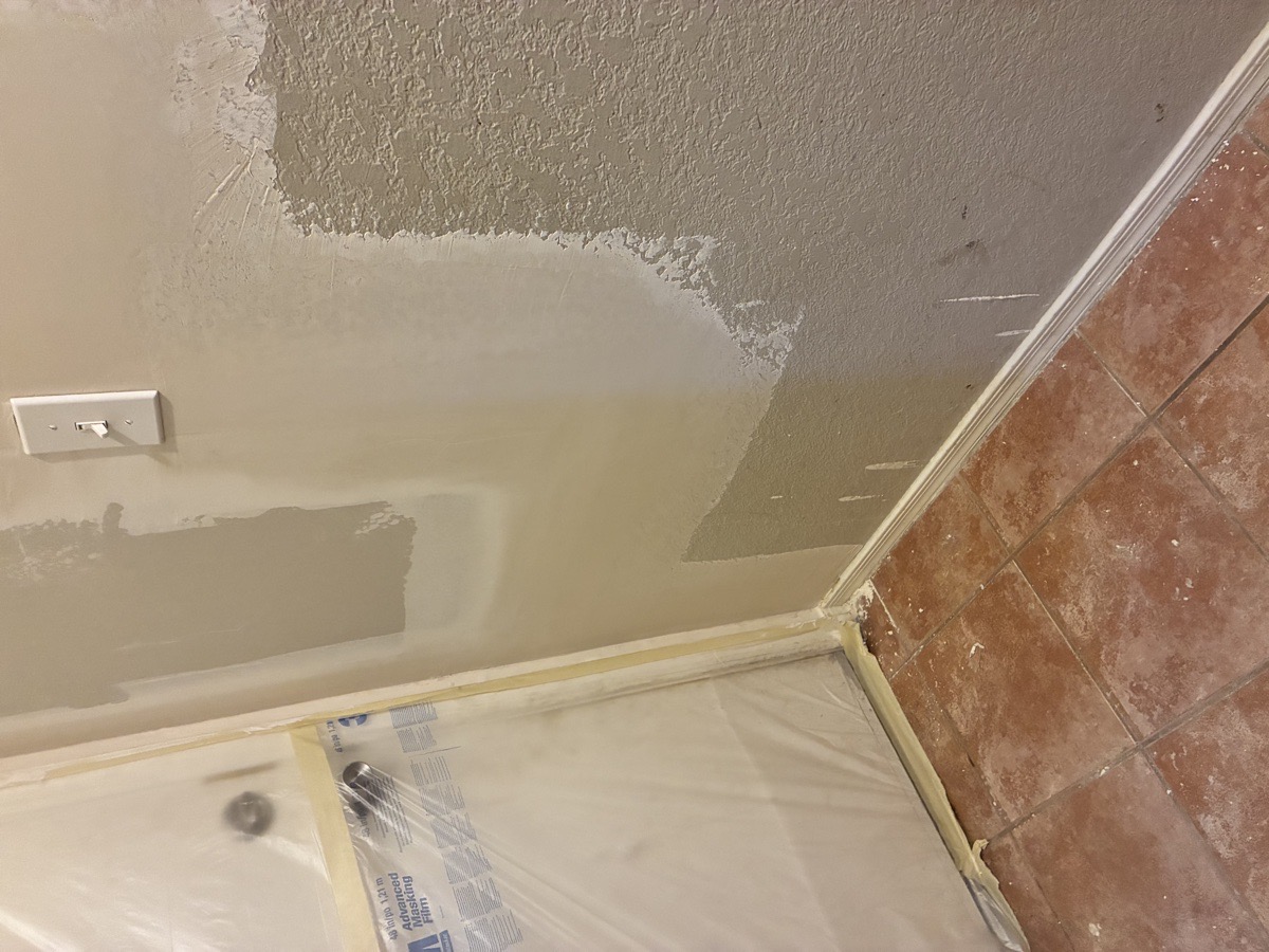 water damage and mold remediation — Ricardo Lopez