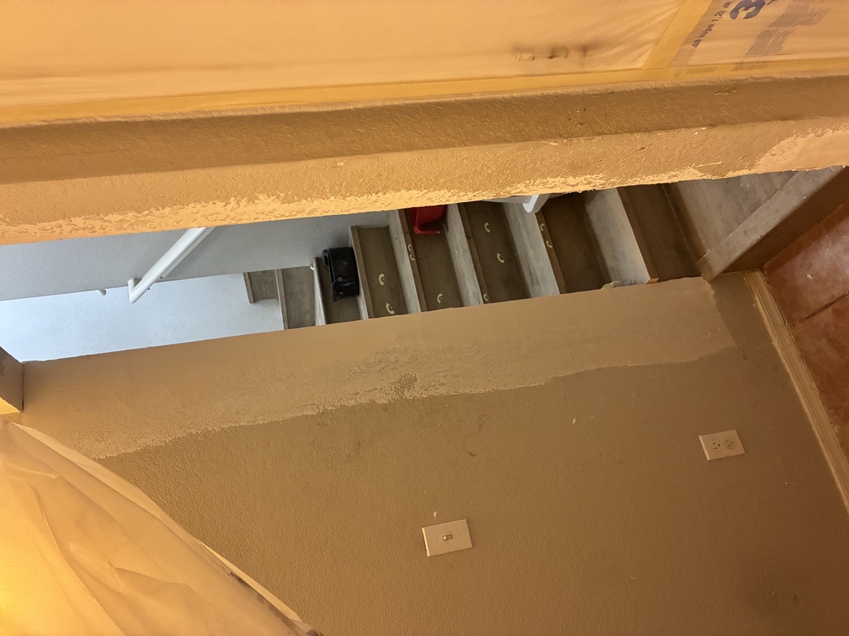 water damage and mold remediation — Ricardo Lopez