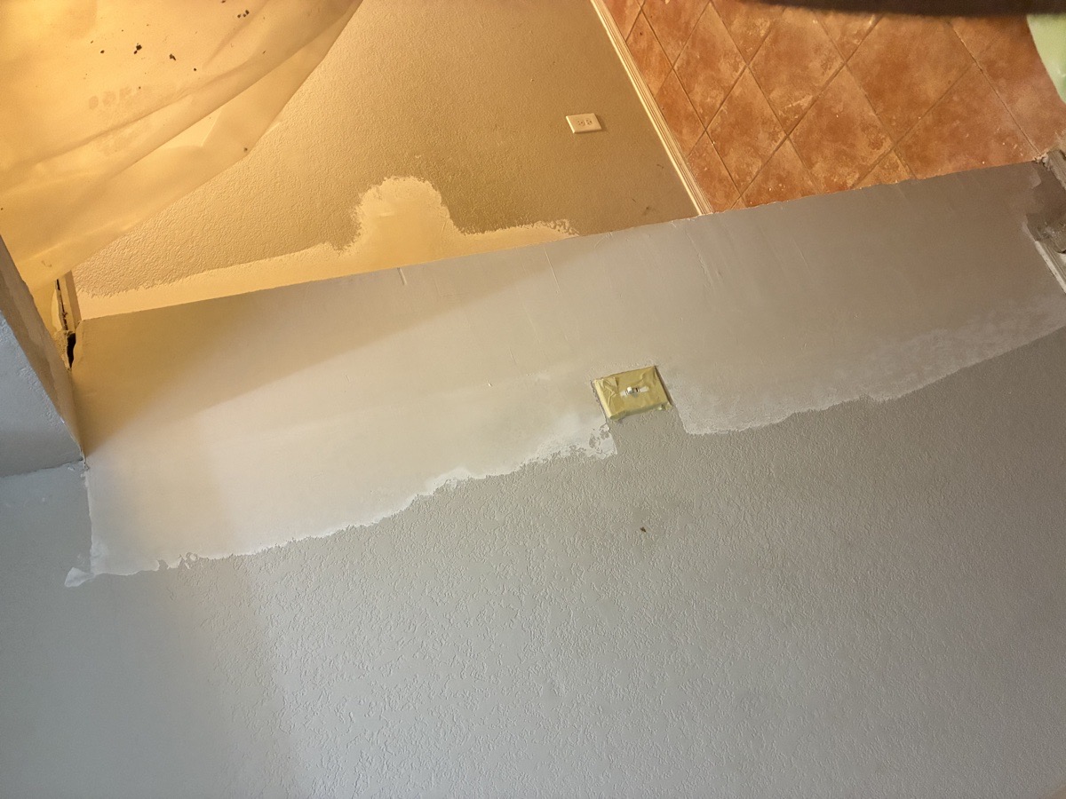 water damage and mold remediation — Ricardo Lopez