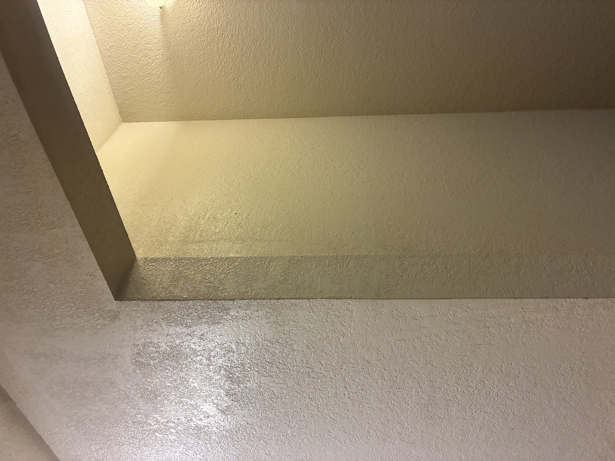 water damage and mold remediation — Ricardo Lopez