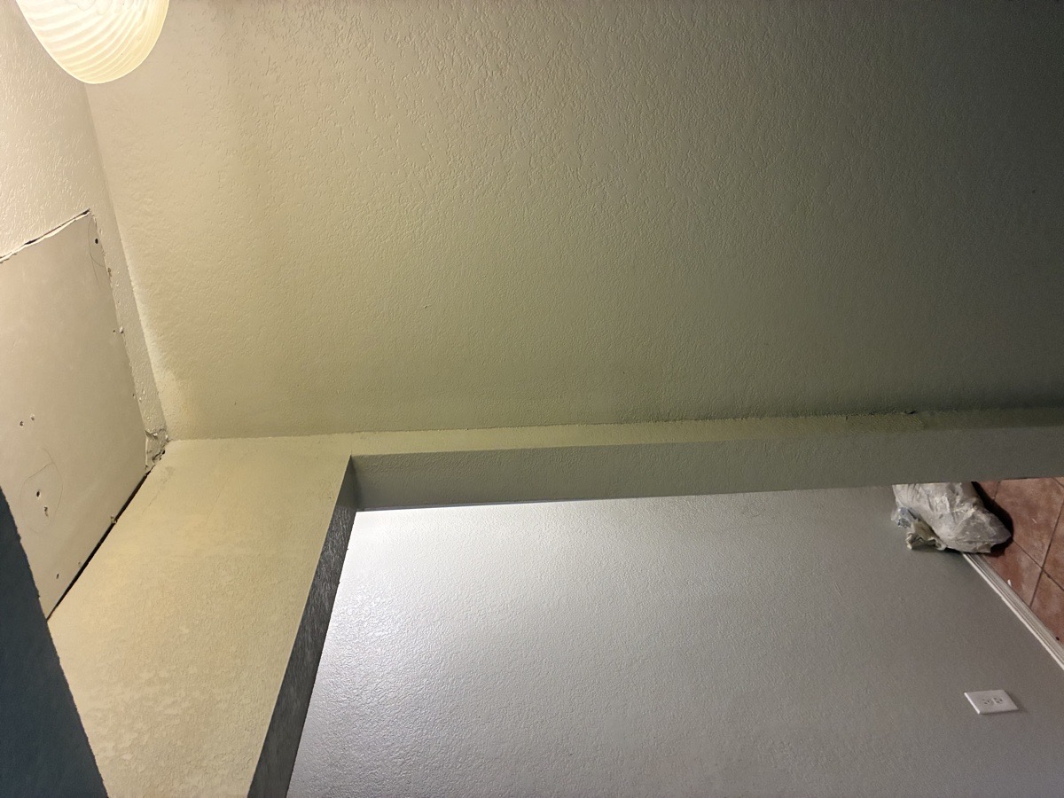 water damage and mold remediation — Ricardo Lopez