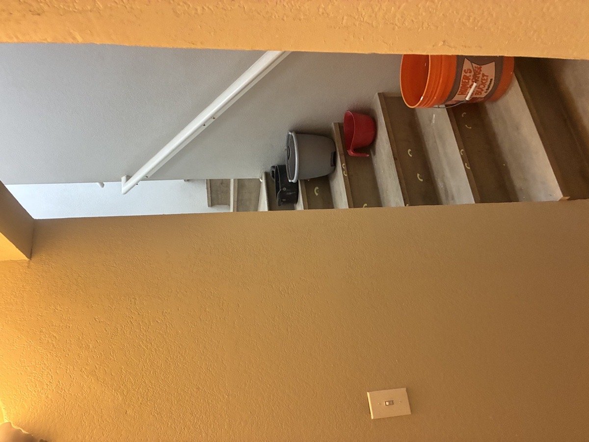 water damage and mold remediation — Ricardo Lopez
