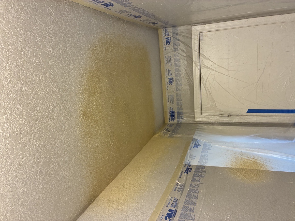 water damage and mold remediation — Ricardo Lopez
