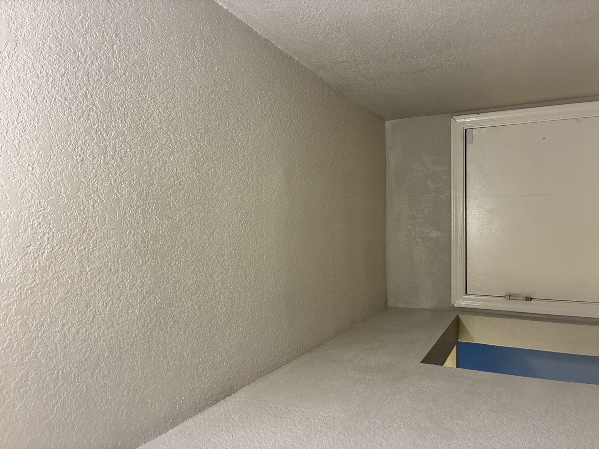 water damage and mold remediation — Ricardo Lopez