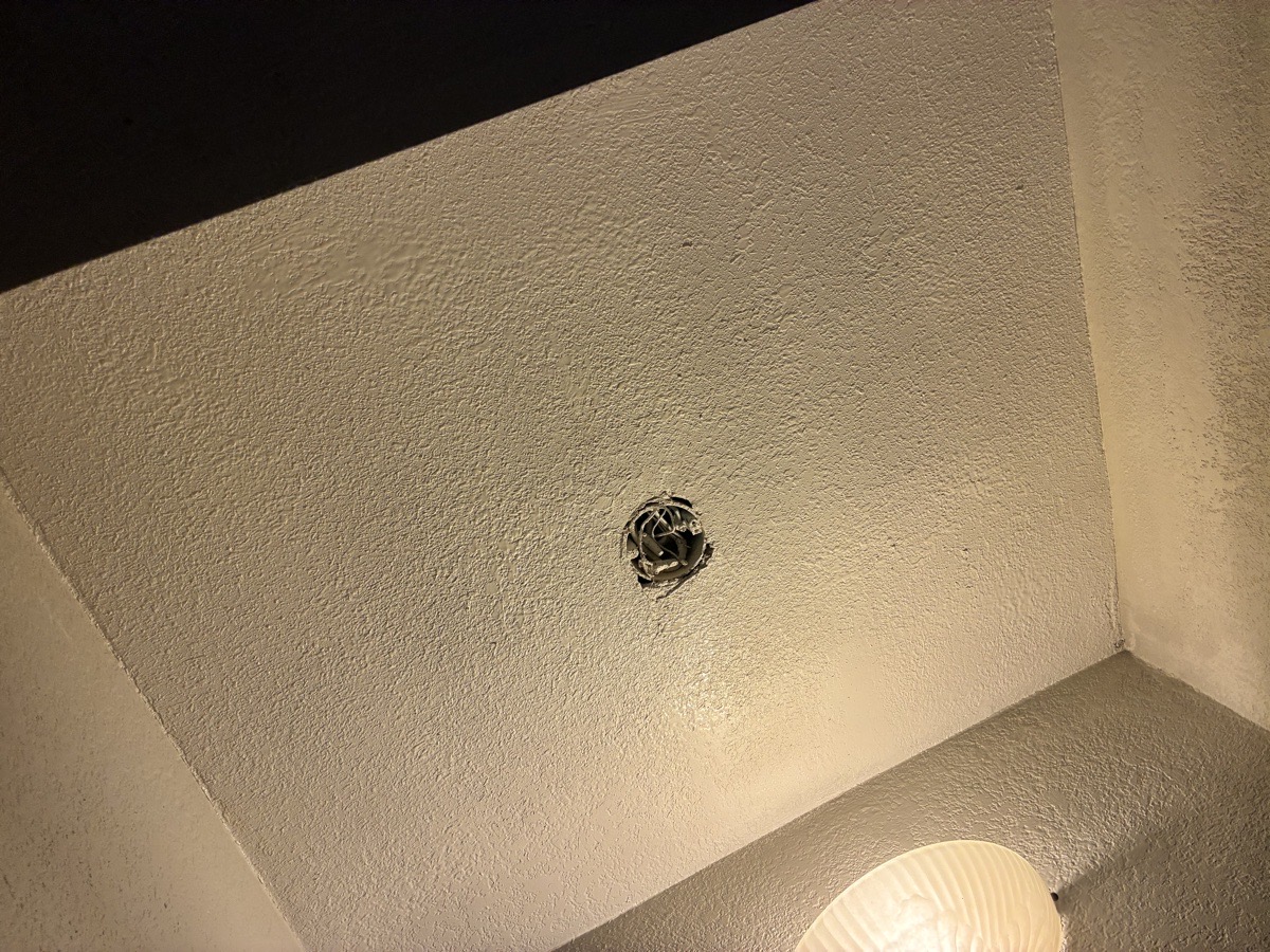 water damage and mold remediation — Ricardo Lopez