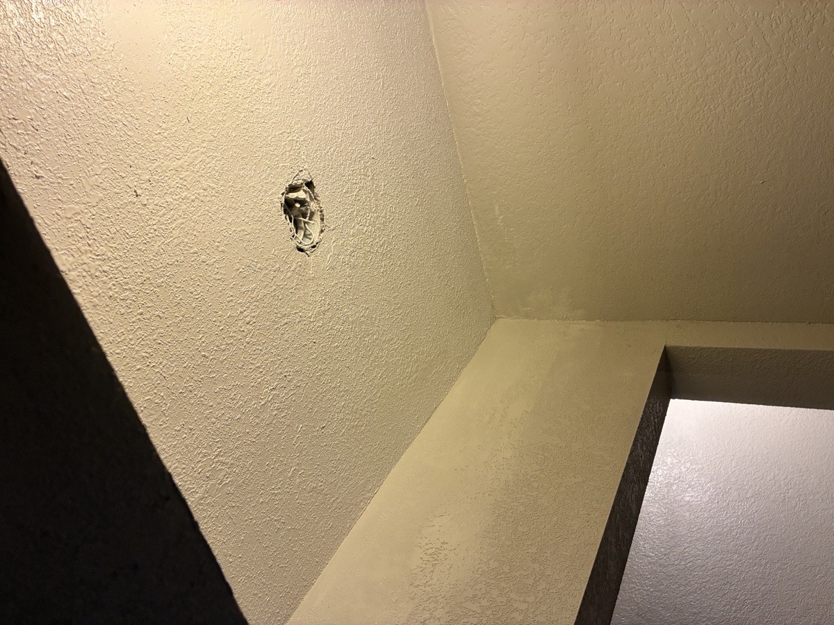 water damage and mold remediation — Ricardo Lopez