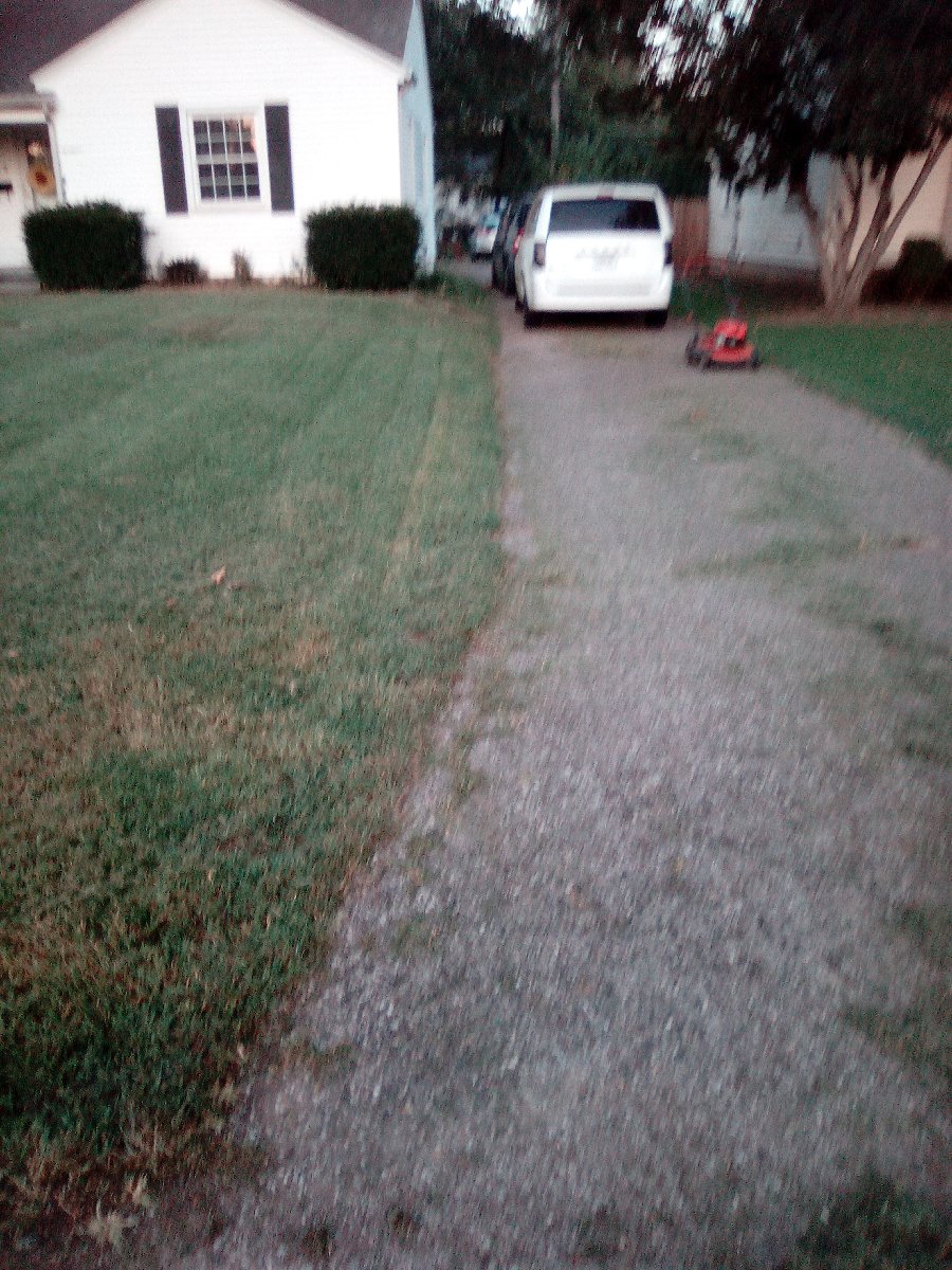lawn mowing and bush triming — Jessica Vaughn