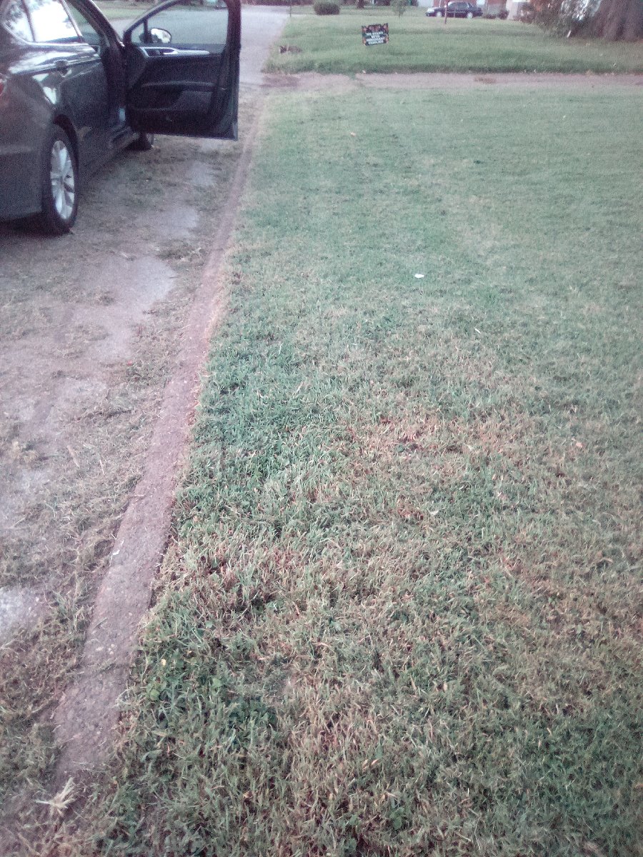 lawn mowing and bush triming — Jessica Vaughn