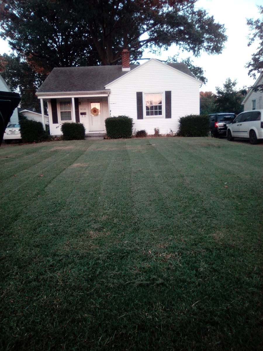 lawn mowing and bush triming — Jessica Vaughn