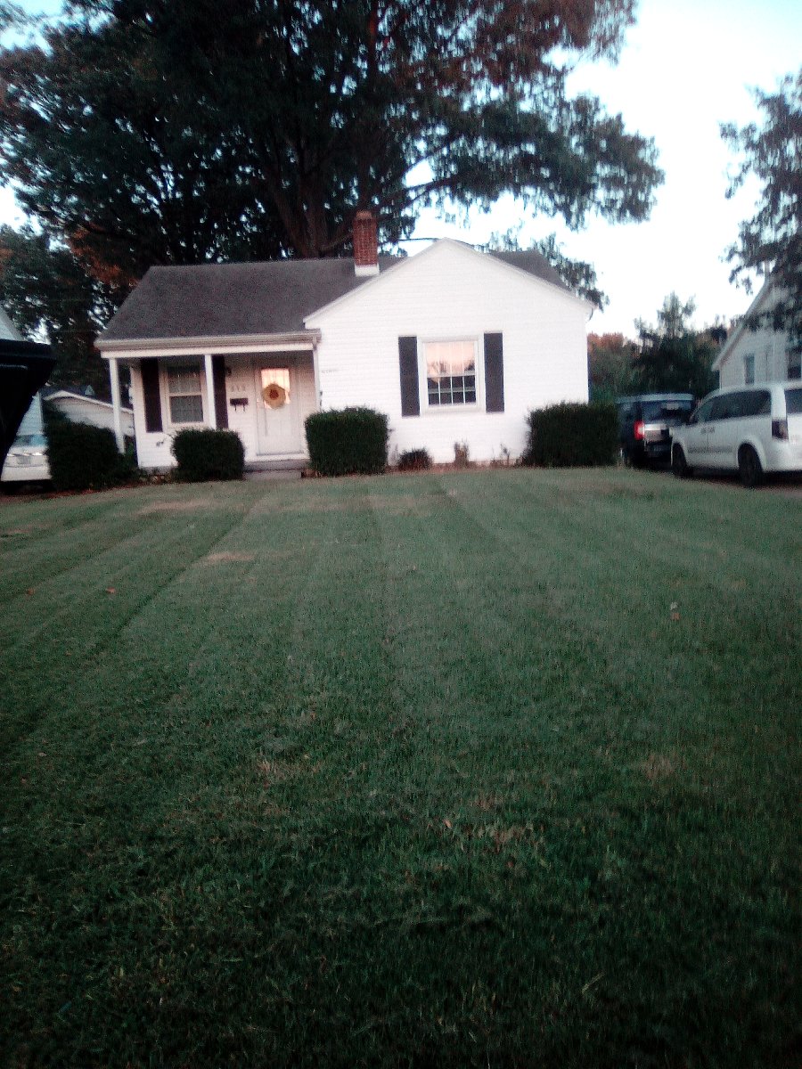 lawn mowing and bush triming — Jessica Vaughn