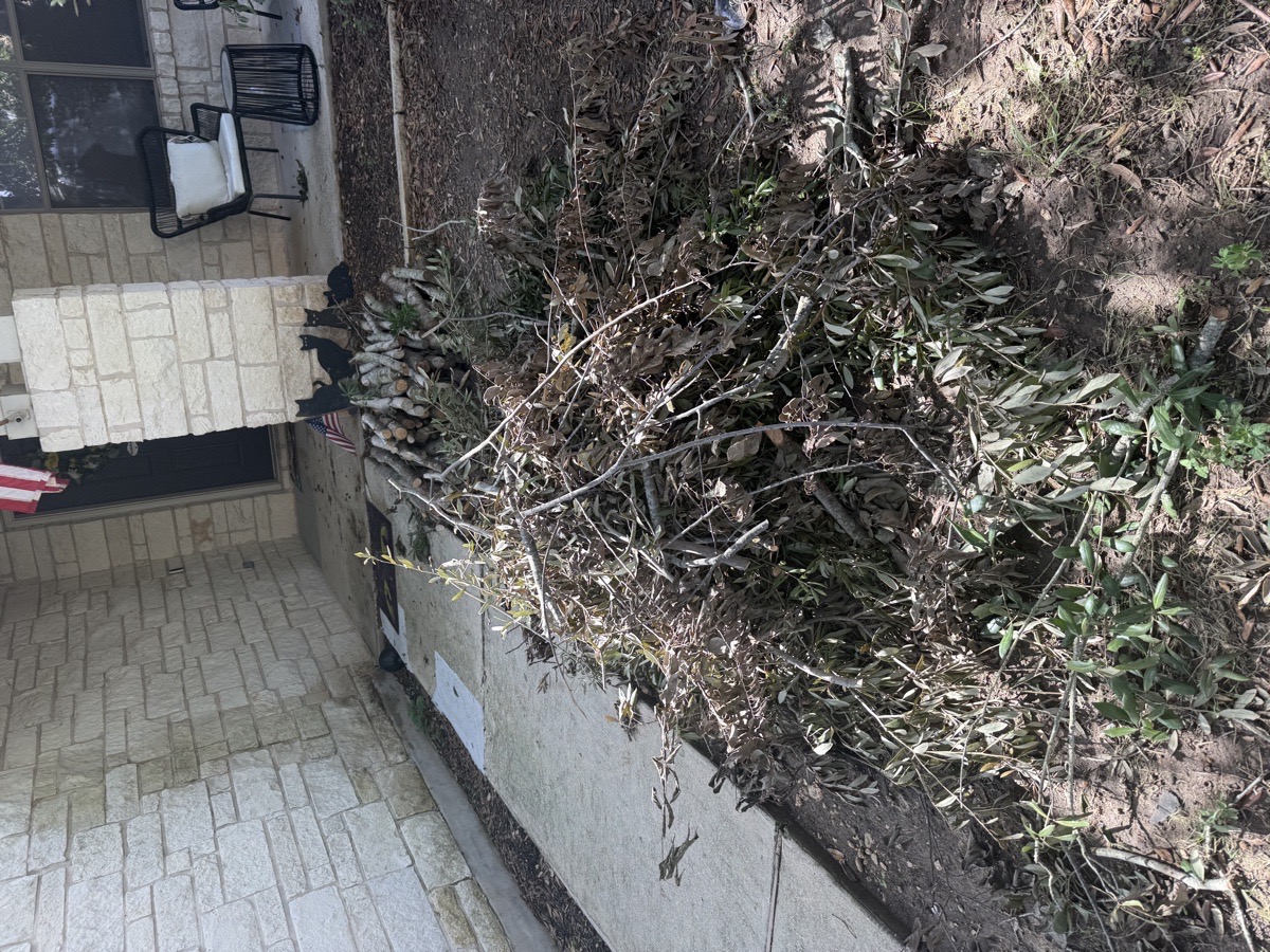 yard cleanout — Ranince Kenfack ngnintedem