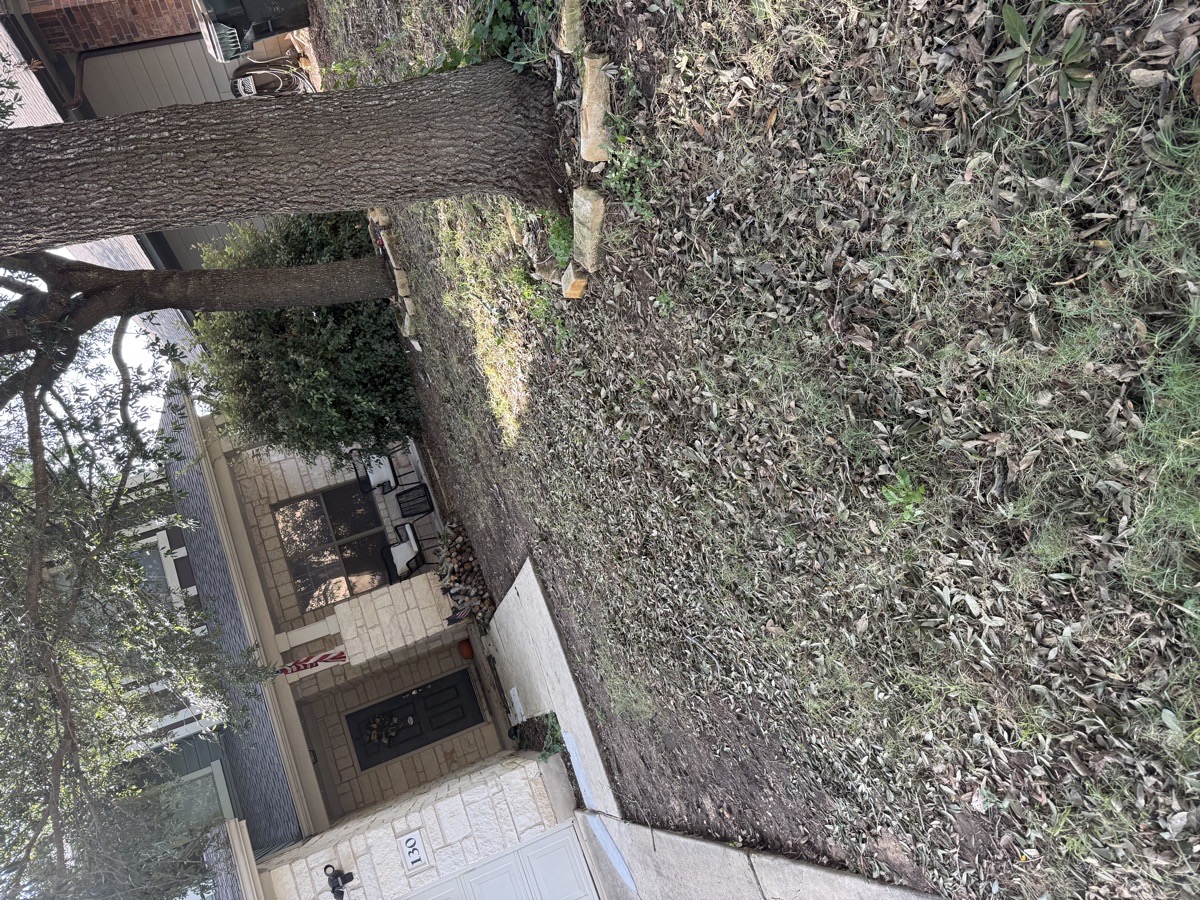 yard cleanout — Ranince Kenfack ngnintedem