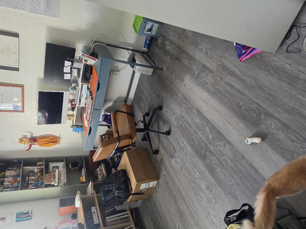 Residential & Deep Cleaning — Elizabeth- Armonia Clean LLC 