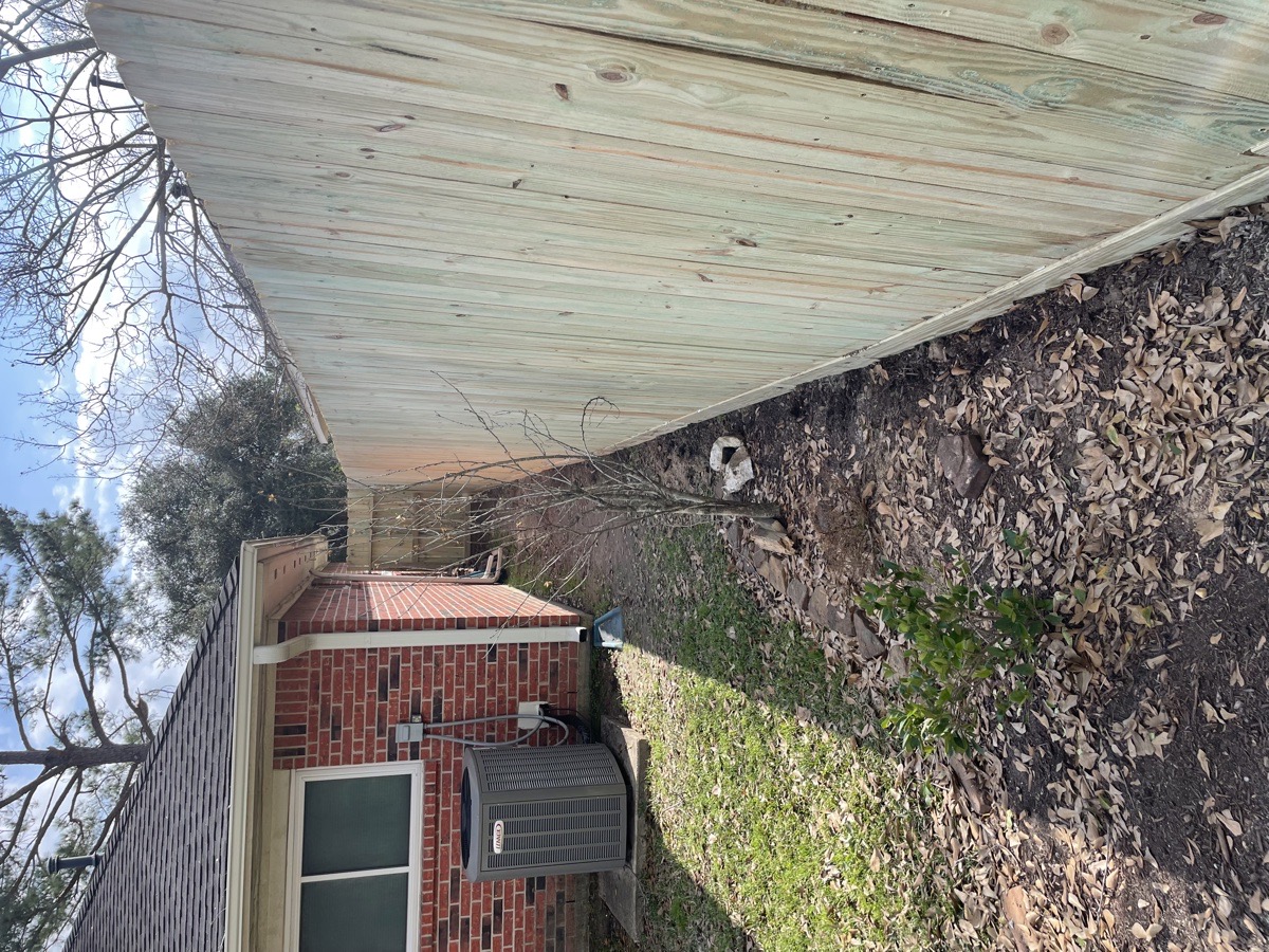Spring fence — Theodore Wood