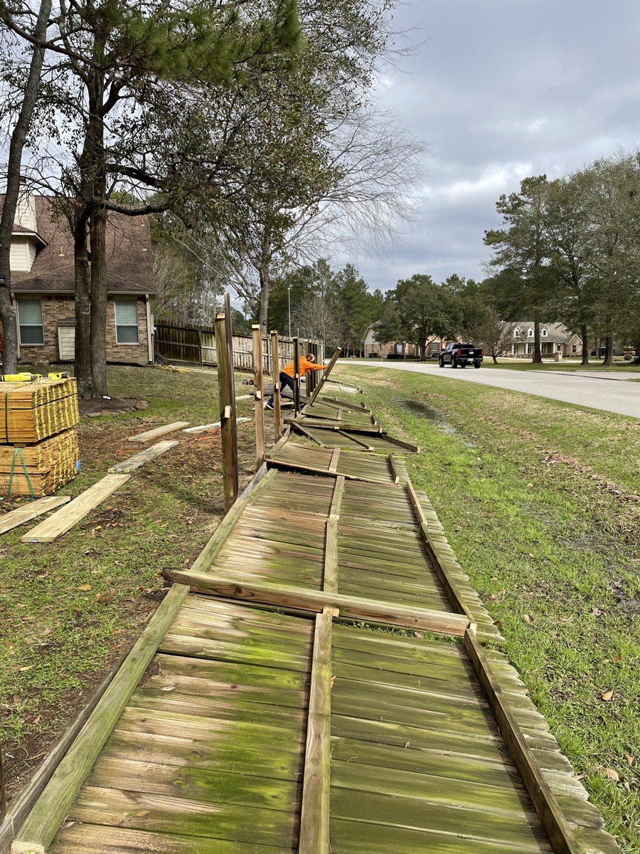 magnolia fence — Theodore Wood