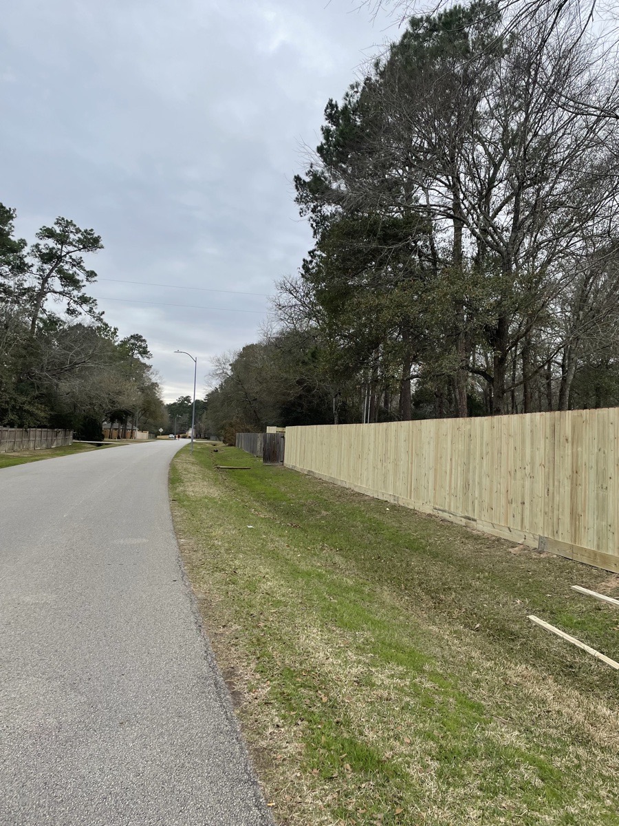 magnolia fence — Theodore Wood