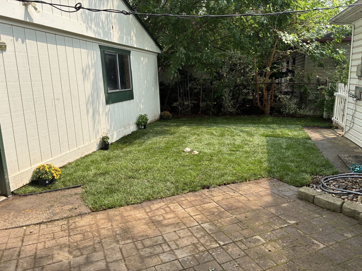 s&h junk removal — ivy simmons