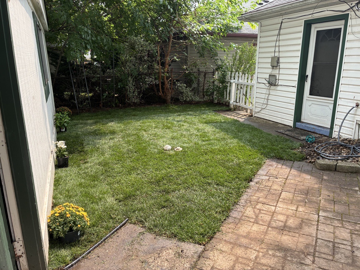 s&h junk removal — ivy simmons