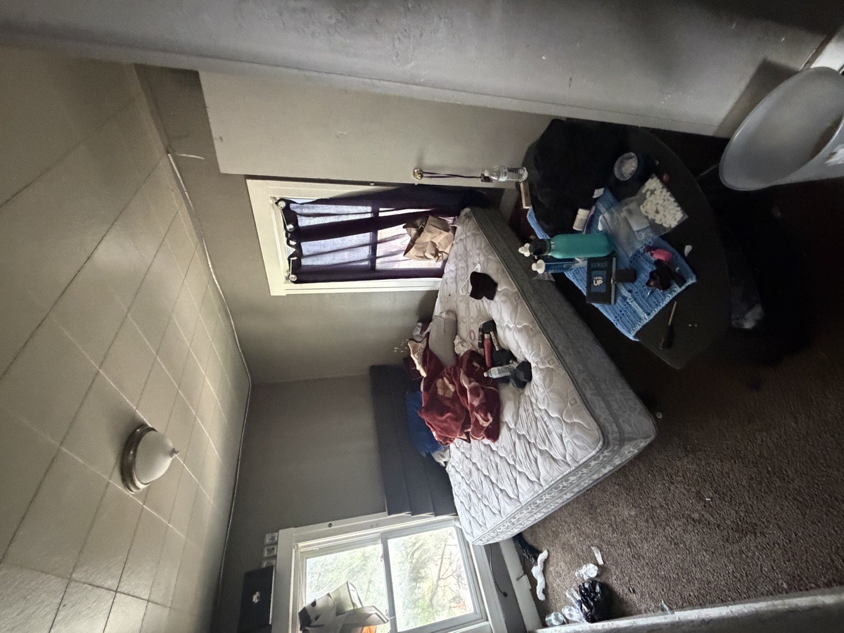 s&h junk removal — ivy simmons