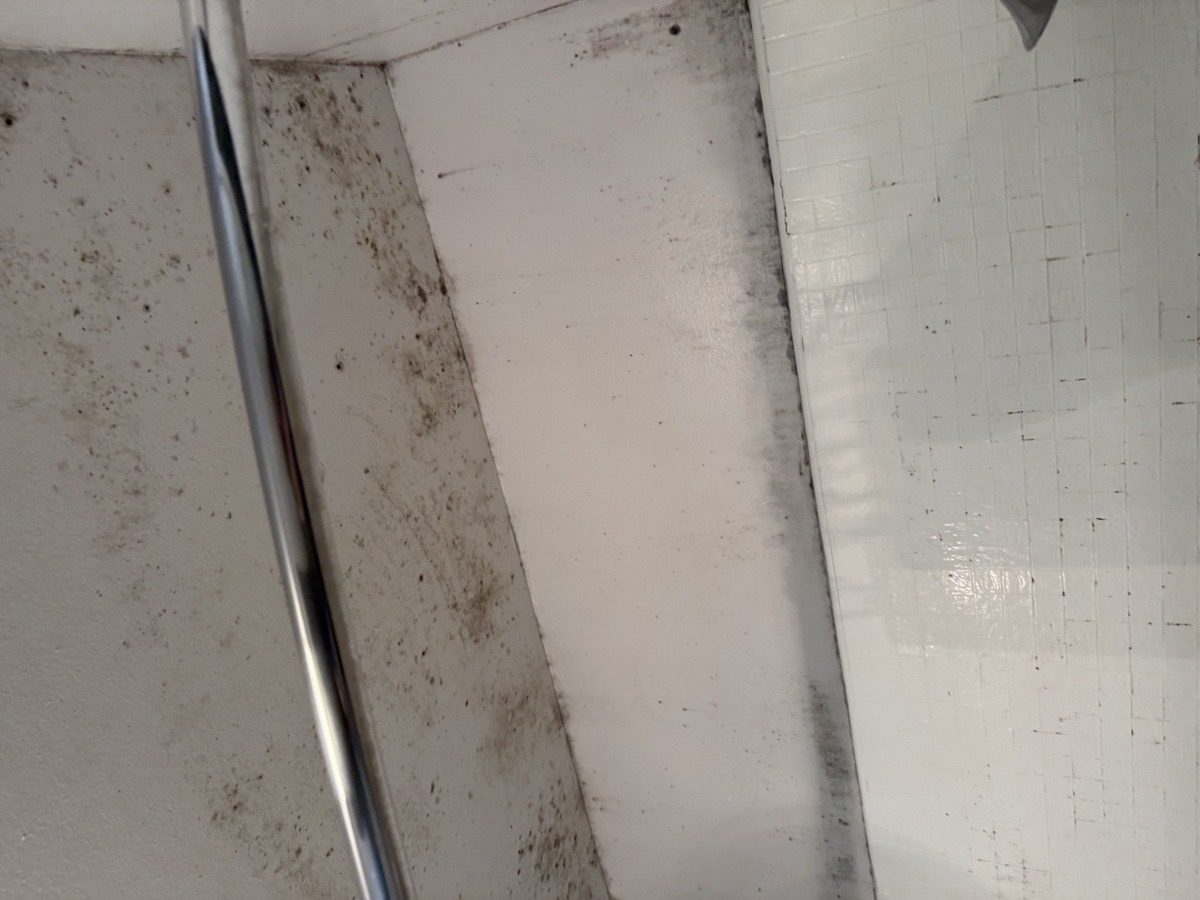 Deep House Cleaning — Mariia Shubina