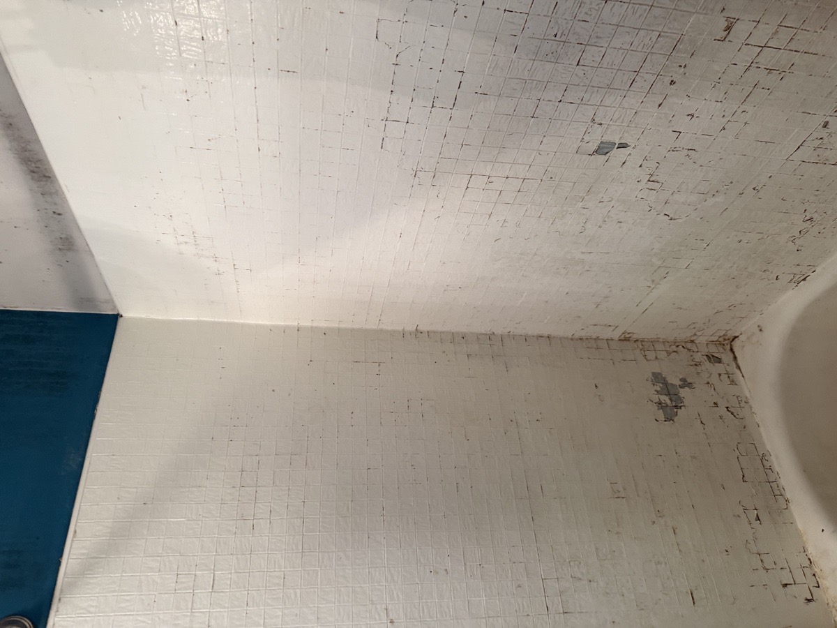 Deep House Cleaning — Mariia Shubina