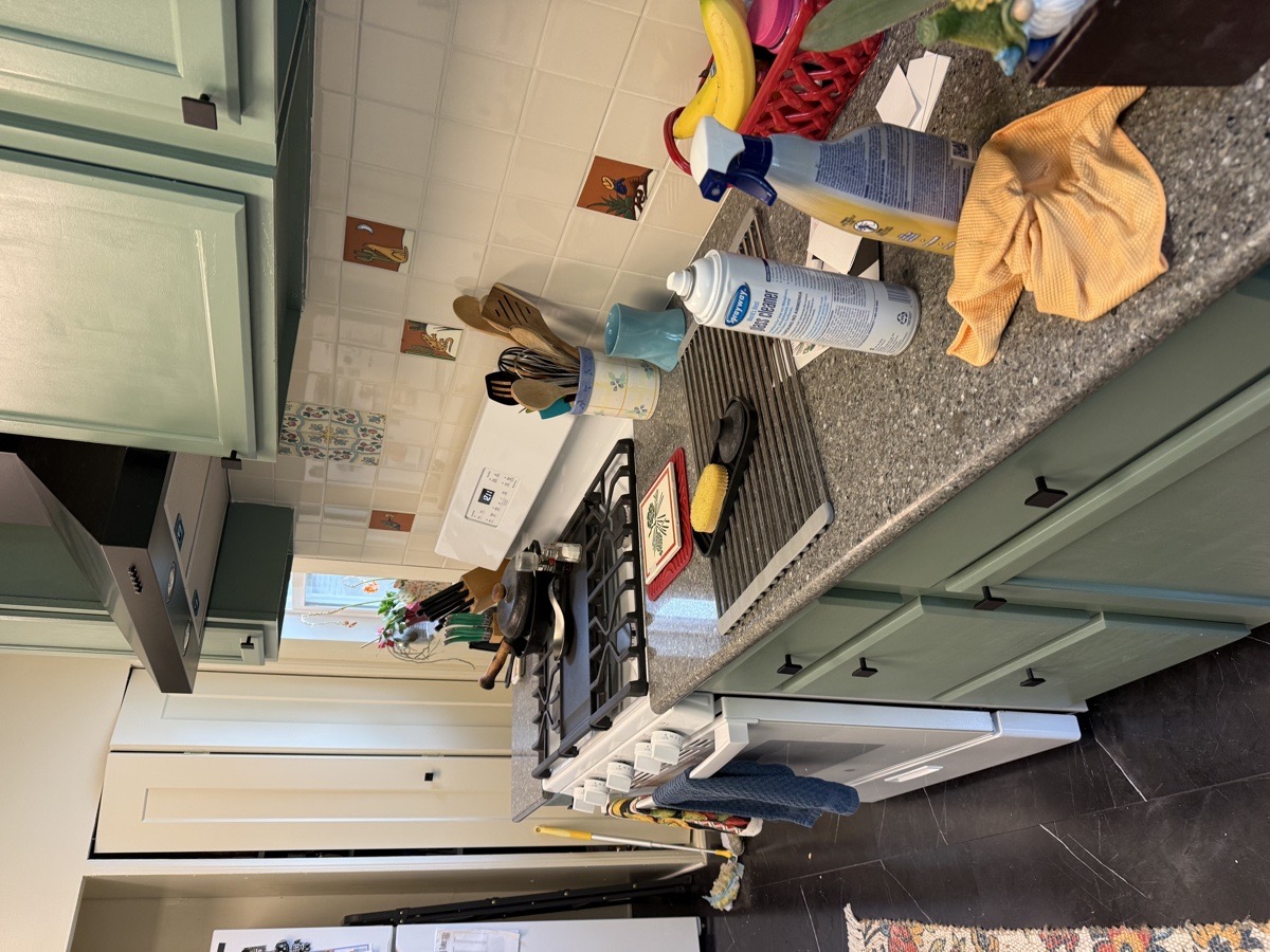 Deep House Cleaning — Mariia Shubina